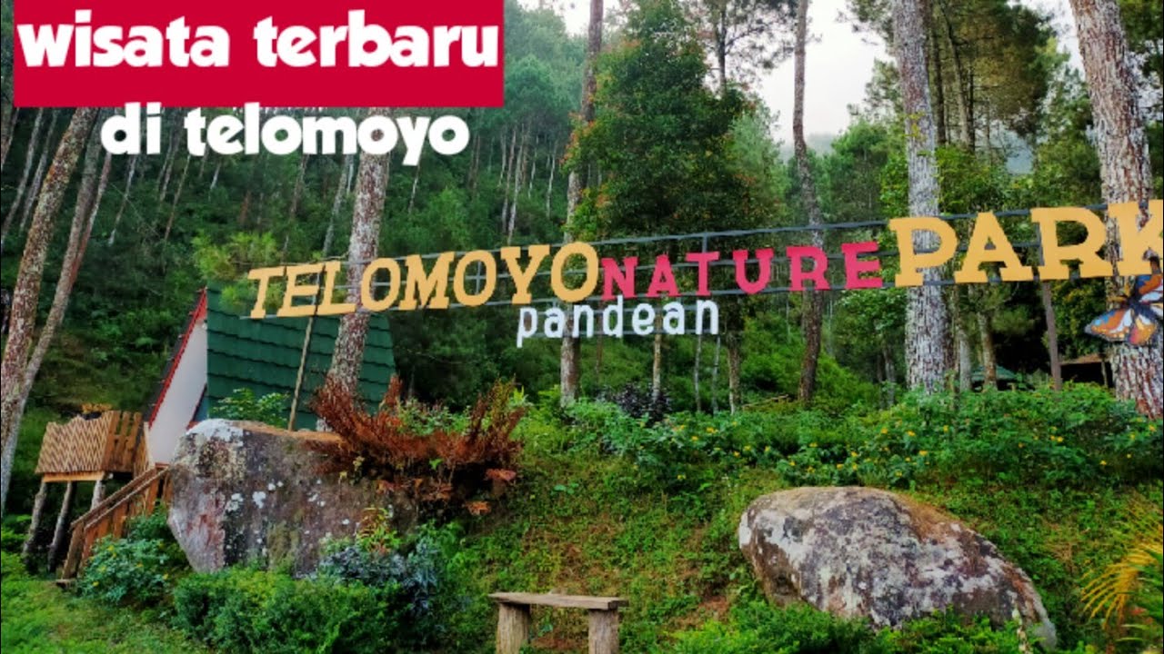 Telomoyo Nature Park: Menikmati Keindahan Alam Pegunungan